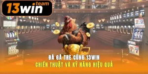 Đá Gà Tre Cùng 13win Chiến Thuật Và Kỹ Năng Hiệu Quả