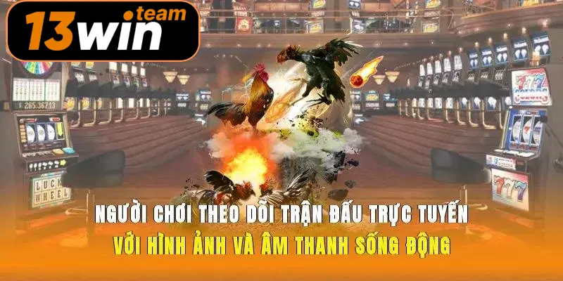 Người chơi theo dõi trận đấu trực tuyến với hình ảnh và âm thanh sống động